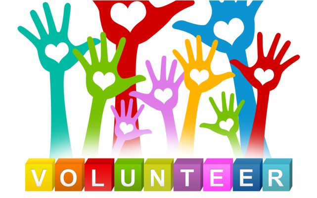 RCV Advocacy, Partnerships and Volunteering